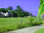 north captiva island view