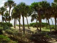 north captiva island beach