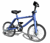 north captiva  bike